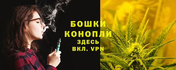 дурь Богородицк