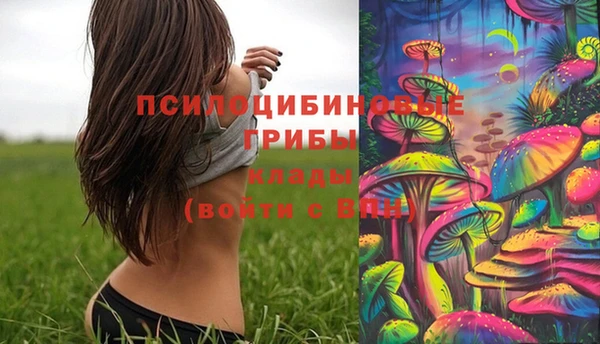 дурь Богородицк