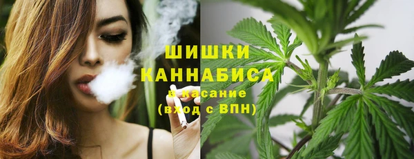МДПВ Богданович