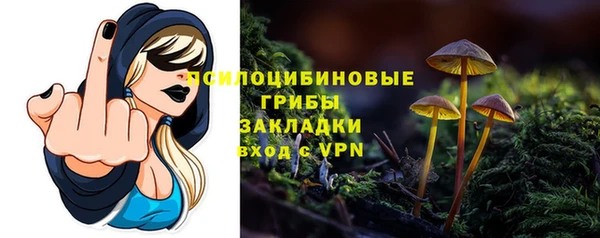 дурь Богородицк