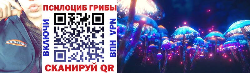 Псилоцибиновые грибы Cubensis  Ковдор 